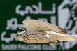 Falconers unveil secrets behind fastest times at 2025 Saudi Falcons Club Cup in Khobar
