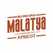 Malatya Apricot Declares Worldwide Growth, in Supplying and Exporting Raisins, Dried Figs and Prunes