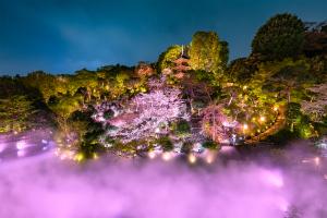 Night Time Sea of Clouds at Hotel Chinzanso Tokyo