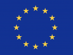 UE Flag