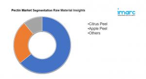 24225596 pectin market size