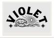 Violet Vinyl Expands into CD and Cassette Production to Meet Rising Demand from Indie Bands and Younger Music Fans