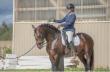 Classical dressage and Working Equitation training in action at Azores Stables.