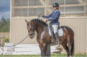 Classical dressage and Working Equitation training in action at Azores Stables.