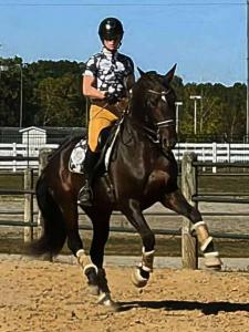 Rider and horse demonstrating precision, partnership, and training excellence at Azores Stables.