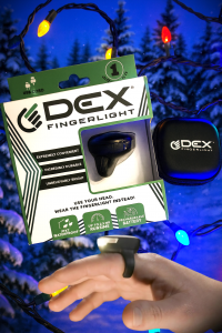 The Perfect Gift