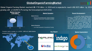 Global Organic Farming Market reached US$171 Organic Farming