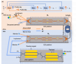 Optical Chip Pioneers Physical-Layer Public-Key Encryption with Partial Coherence