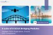 Sofema Online Introduces Bridging Modules to Support Dual EASA and GCAA Part 145 Training Requirements