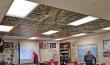 Research backed tree ceiling murals in classrooms and their cognitive and mental health benefits.