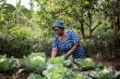 Heifer International to elevate the voices of female producers to mark International Year of the Woman Farmer