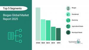 Biogas Global Market Report 2025_Segment