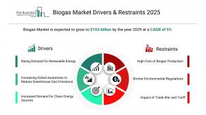 Biogas Global Market Report 2025