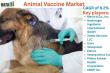 Animal Vaccine Market Set for Robust Growth as Demand for Advanced Livestock Immunization Surges 2025-DataM Intelligence