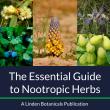 Linden Botanicals Releases The Essential Guide to Nootropic Herbs