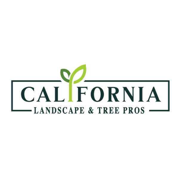 California Landscape & Tree Pros Outlines Integrated Response to Shifting Tree Care and Landscaping Needs