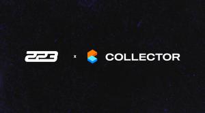 223 x Collector Crypt