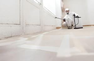Mold Remediation
