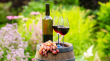 Wine Market to Reach USD 314.24 Billion by 2035 With 5.95% CAGR on Global Premiumization Trends