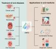 Antimicrobial peptides in oral medicine: From mechanisms to clinical  translation