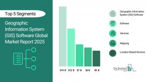Geographic Information System (GIS) Software Global Market Report 2025_Segments