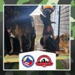 Mount Laurel Animal Hospital Partners with Local Schools to Bring Holiday Joy to U.S. War Dogs and Their Handlers