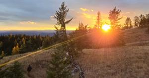 Sunset hiker