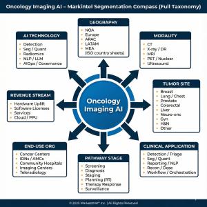 Infographic - Oncology Imaging AI Segmentation