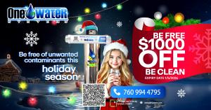 Holidays Offer