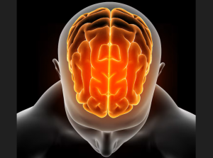 Rejuven8U, a wellness and brain health center based in Red Deer, Alberta, is offering an updated overview of the increasing availability and use of BrainTap guided brainwave training and guided meditation across Canada BrainTap guided meditation Canada