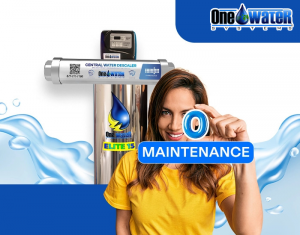 Water Filtration with Zero Maintenance