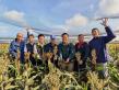 Syuejia Sorghum Fields Become a Model for Rural Carbon Sequestration in World