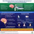 Chinese Neurosurgical Journal Study Provides Insights into the Role of the Brainstem in Disorders of Consciousness