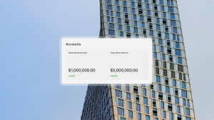 Accounts view displaying operational balances and total client funds;