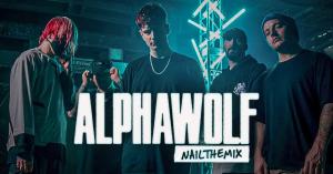 24310890 alpha wolf