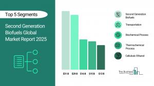 Second Generation Biofuels Global Market to Surpass $31 billion in 2029 Second Generation Biofuel Market Size
