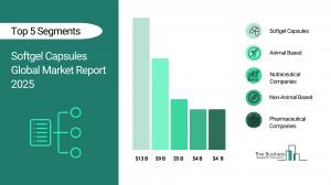 Softgel Capsules Market Forecast