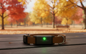 PawPulse today announced the public unveiling of its comprehensive pet health monitoring system, designed to detect preventable canine health emergencies before they become life-threatening PawPulse smart dog collar sitting on a wooden table with autumn leaves in the background, featuring a glowing LED status light.
