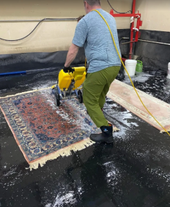 Rug cleaning