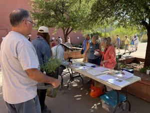 Donated flowering plants displayed for sale at the Sedona Hummingbird Festival, where High Country Gardens plant donations supported the International Hummingbird Society’s conservation and education programs.