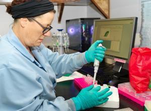 Dunlop, Rachael - qPCR ver2