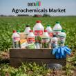 Agrochemicals Market to Reach USD 338.7 Billion by 2032 at 3.8% CAGR Driven by Fertilizers & Crop Protection Demand   