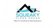 Squeaky Clean Squad Tackles Florida's Indoor Air Crisis as Humidity and Mold Concerns Peak in 2025