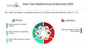 Robo Taxis Market Forecast