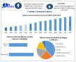 Calcium Carbonate Market Size Share Trends and Forecast Revealing Key Growth Drivers