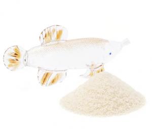 Fish gelatin