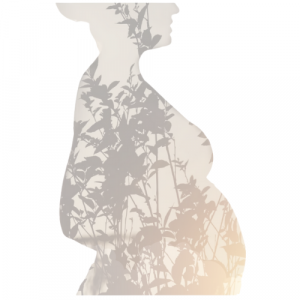 Course image for “Wholesome Pregnancy: The Art & Science of Nourishing Mama and Baby"