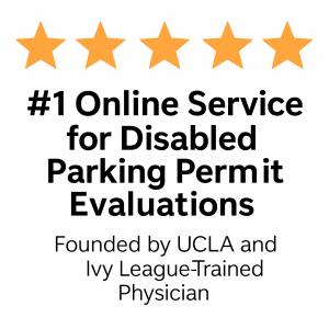 illinois dmv disability permits online