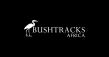 Bushtracks Africa Launches New Website Showcasing Luxury Travel Experiences Across Southern Africa