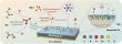 Methylurea-built SEI unlocks long-life anode-free aqueous zinc batteries
